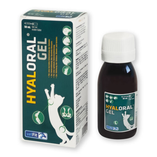hyalORAL Gel